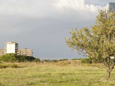 Uno dei campi che si aprono ai bordi di Strada Pezze del Sole: a sinistra alcuni palazzi del quartiere di Japigia, sul fondo si intravede il mare 